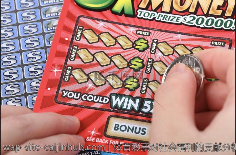 体育彩票对社会福利的贡献分析