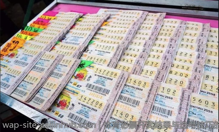 体育彩票开奖结果与选号技巧的关系
